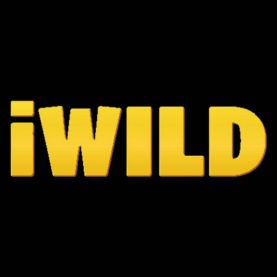 iWild Casino logo 2026